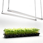 Mars Hydro VG80 4-foot LED grow light bars